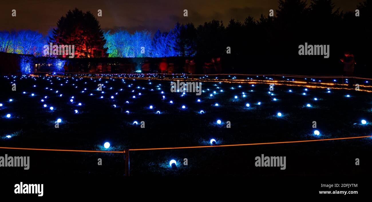 Dalkeith Country Park, Midlothian, Escocia, Reino Unido, espectáculo de la Luz: El segundo año de la exposición de la luz de Navidad en su noche de apertura. Hay un sendero iluminado en el bosque Foto de stock