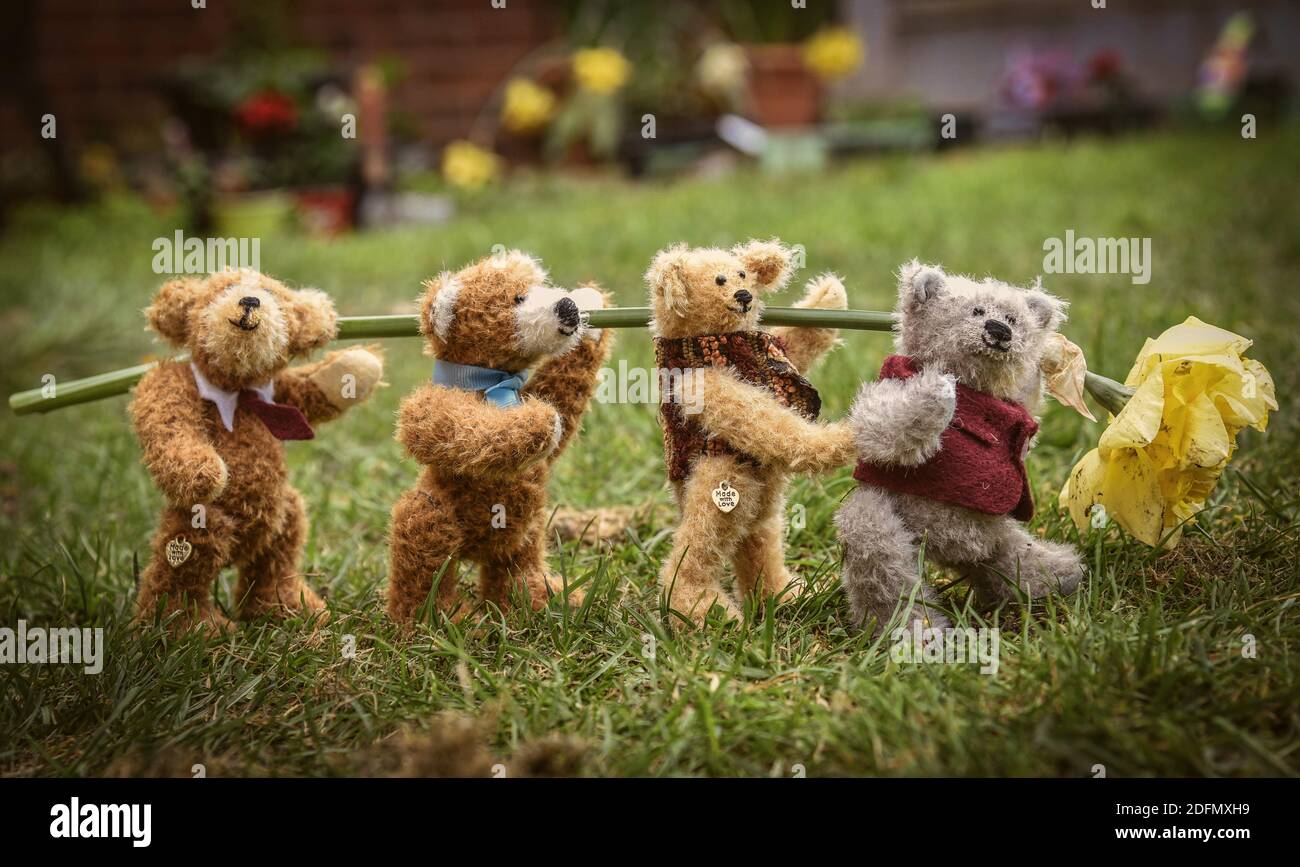 Peluches caseros best sale