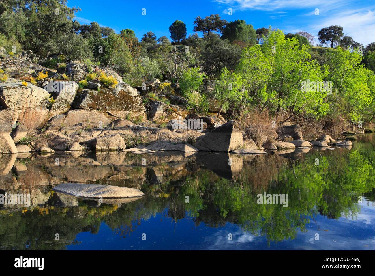 Río Jandula, Parque Nacional Sierra de Andujar, Provincia de Jaón, Andalucía, España Foto de stock