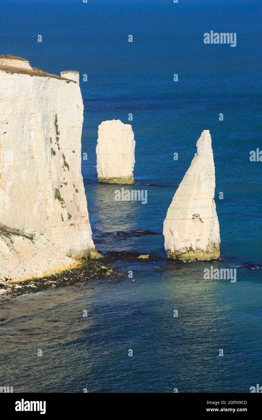 Old Harry Rocks, Swanage Bay, la costa de los acantilados de tiza, Bournemouth, Sitio Patrimonio de la Humanidad de la Costa Jurásica, Dorset, Inglaterra, Reino Unido Foto de stock