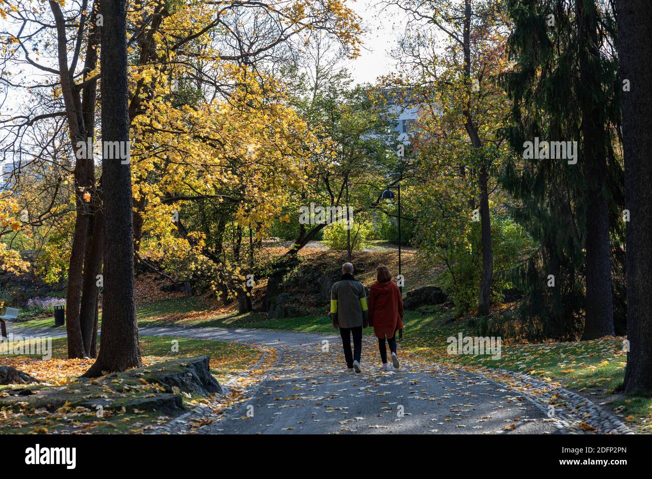 Pareja paseando en el parque Näsinpuisto con colores otoñales y hojas caídas en el suelo en Tampere, Finlandia Foto de stock