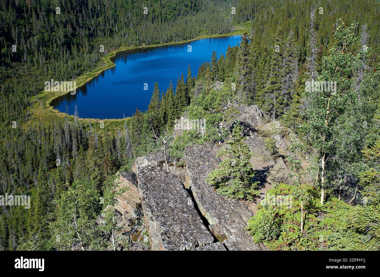 Vista desde la libertad cae camino a un nombre de lago sin nombre, que se encuentra entre árboles de picea en un valle estrecho Foto de stock