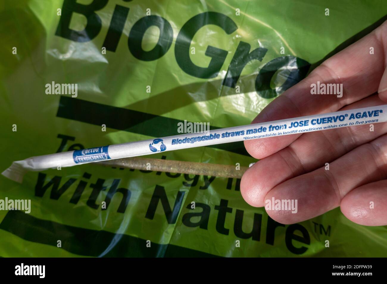 Pajuelas biodegradables hechas de Jose Cuervo Agave con una bolsa de basura BioGrade, USA Foto de stock