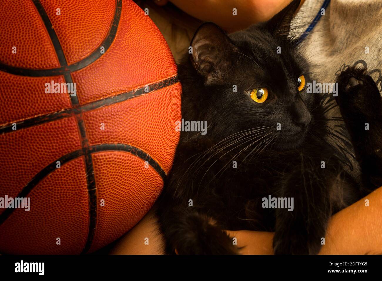 Gato negro con una pelota de baloncesto Fotografía de stock - Alamy