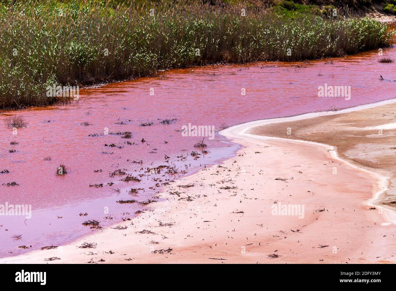 El agua del río es roja debido a la saturación de hierro Fotografía de  stock - Alamy