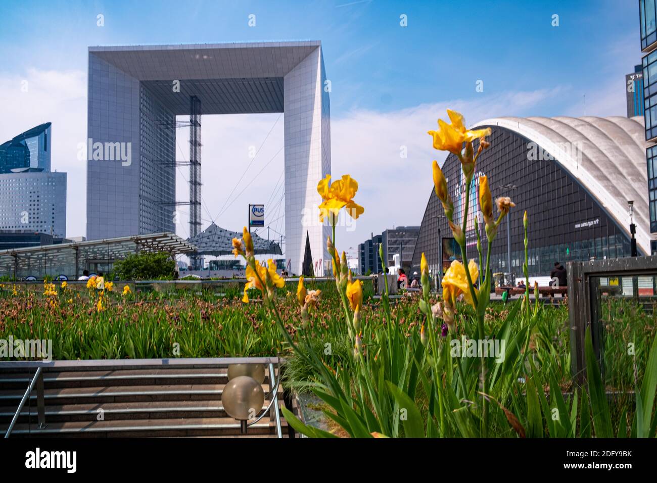 Disparo estático de flor en flor en el distrito de negocios de la Defense En París con rascacielos desenfocado en el fondo Foto de stock