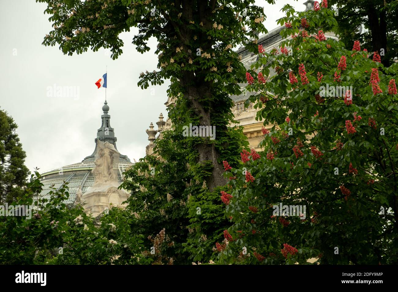 Vislumbra la bandera del ricolor en la parte superior del Grand Palais de París. Tomado a través de los árboles de flores de primavera Foto de stock