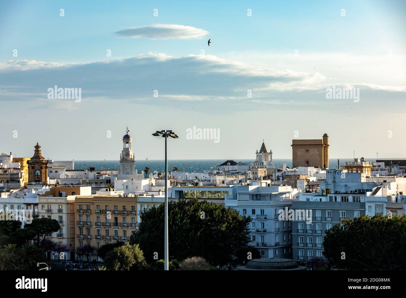 Vista sobre los tejados del casco antiguo de Cádiz con varias Torres de la Iglesia, Andalucía, España, Europa Foto de stock