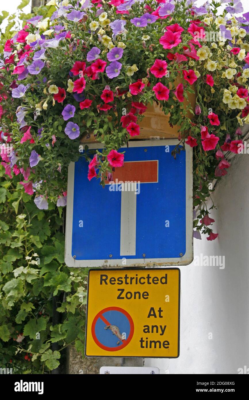 Calle sin salida con flores, St. Ives, Penwith, Cornwall, suroeste de Inglaterra, Reino Unido Foto de stock