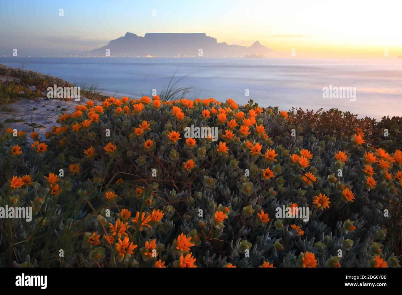 Table Mountain Cape Town Foto de stock