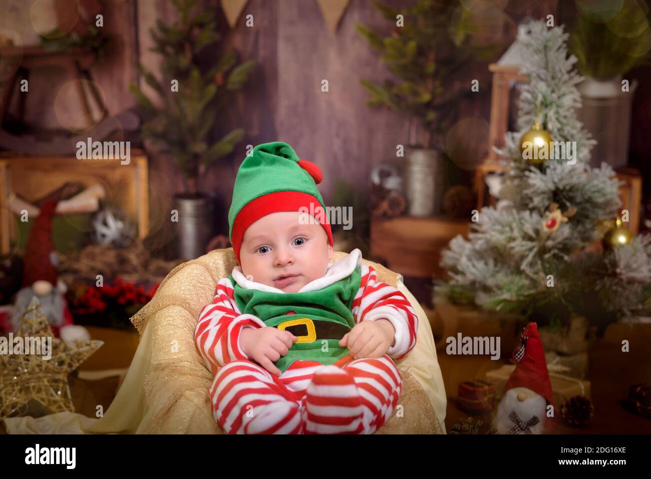 esquina Pensionista desbloquear Feliz bebé elfo ayudante de Santa en traje Santa Claus con regalo en el  árbol de navidad Fotografía de stock - Alamy