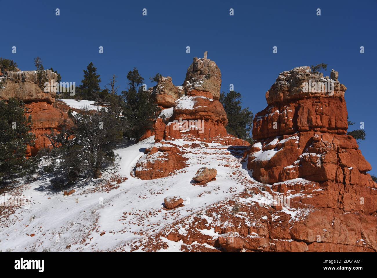 Una imagen en formato de cuadro completo de hermoso colorido de las formaciones rocosas de rohoudo rojo y coníferas verdes de Red Rock Canyon, Utah, cubiertas de nieve. Foto de stock