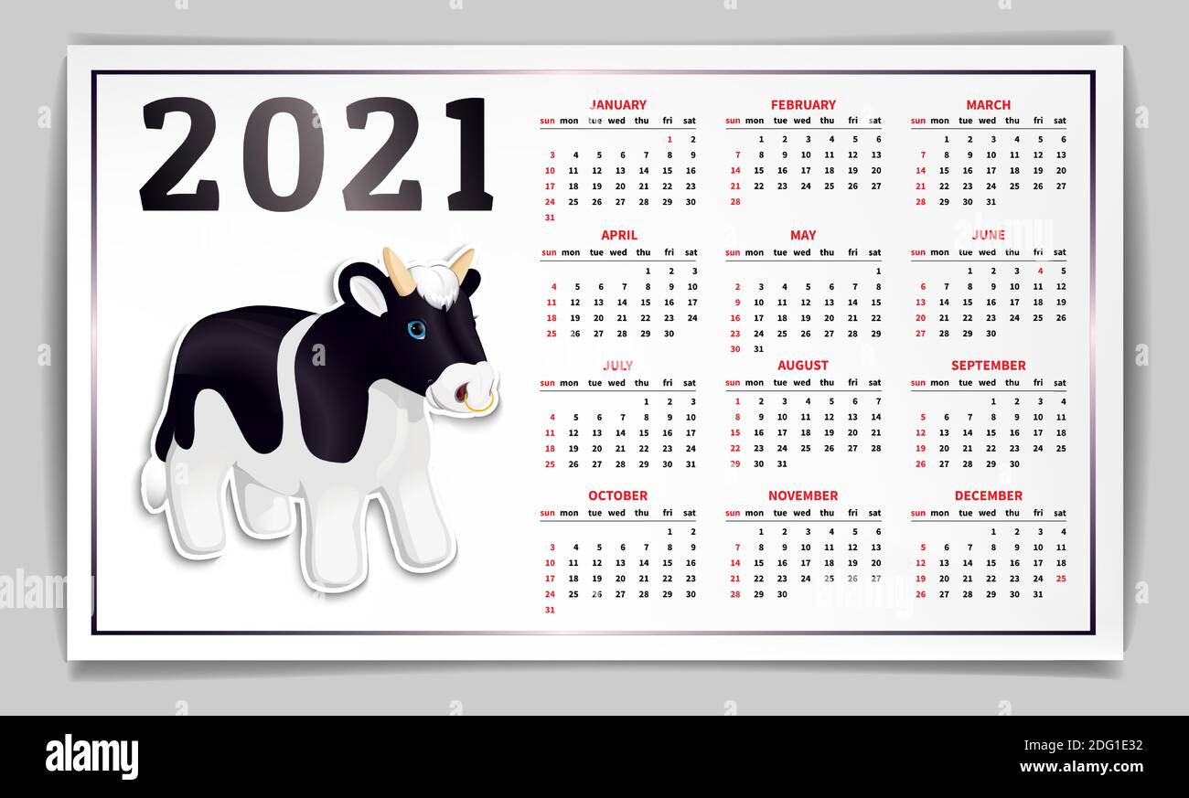 Calendario para 2021. Según el calendario chino, el año del Ox. Pegatina de carácter de Navidad, lindo toro negro con un anillo de nariz. Ba horizontal Ilustración del Vector