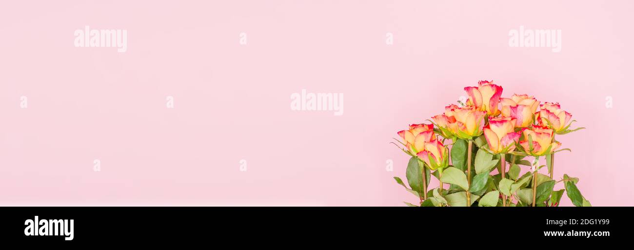 Flores de color rosa sobre un fondo de banner Foto de alta calidad Foto de stock