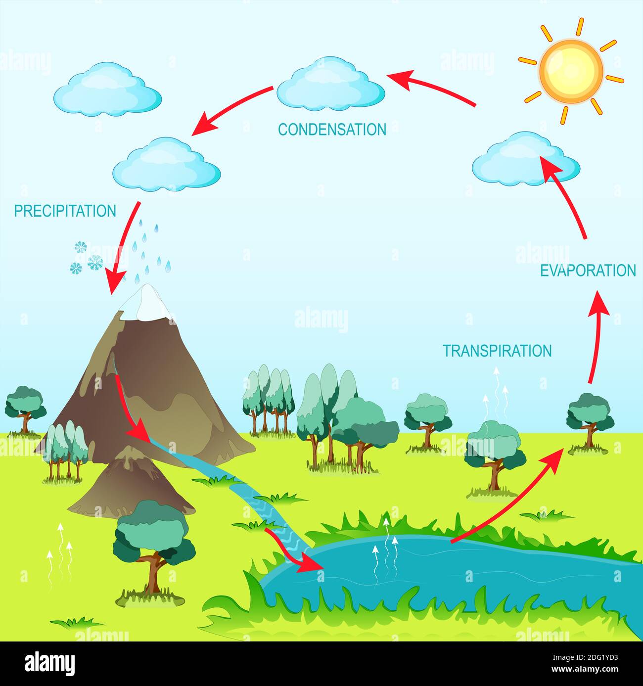 ciclo de agua en el medio ambiente natural. El sol, que impulsa el ciclo  del agua, calienta el agua en los océanos y mares. El agua se evapora como  vapor de agua