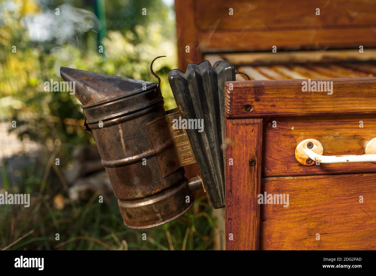 Fumador de abejas instalado en madera behive.Tecnología de de abejas. intoxicante para la producción segura de miel Fotografía de stock - Alamy