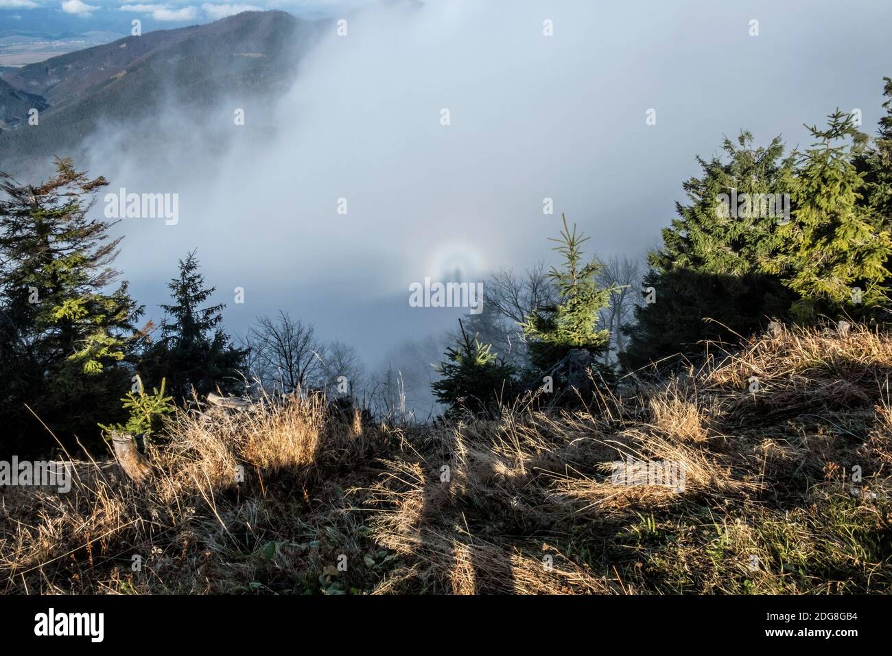 Vidmo fotografías e imágenes de alta resolución - Alamy