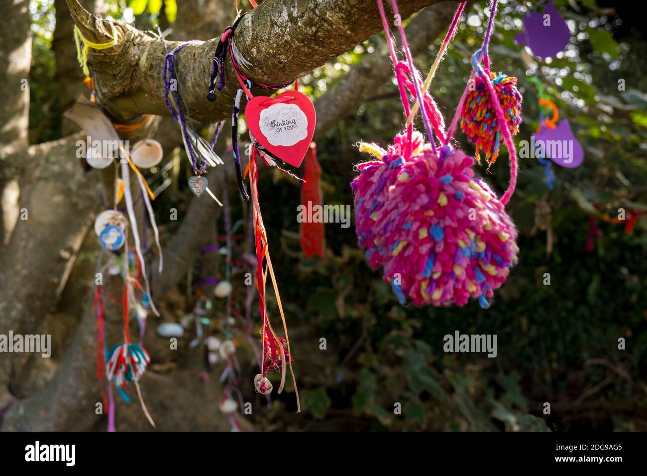 Varias decoraciones coloridas colgando de las ramas de un árbol en el Gannel en Newquay en Cornwall. Foto de stock