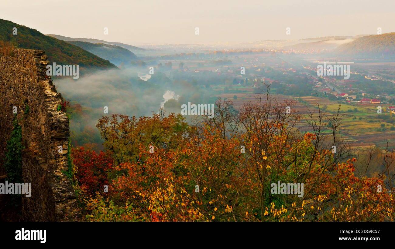 Niebla que cubre los bosques de montaña en ucrania Foto de stock
