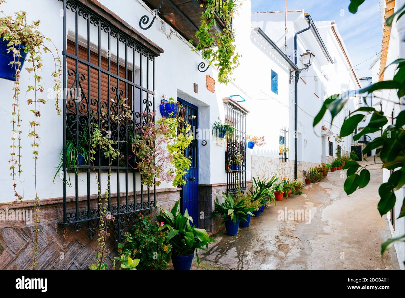 Foto de Casa de la Cultura en El Bosque, Cádiz