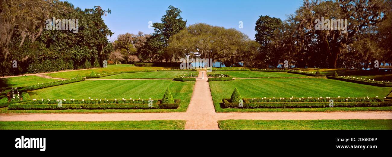 Árboles en un jardín, Middleton Place, Charleston, Carolina del Sur, EE.UU Foto de stock