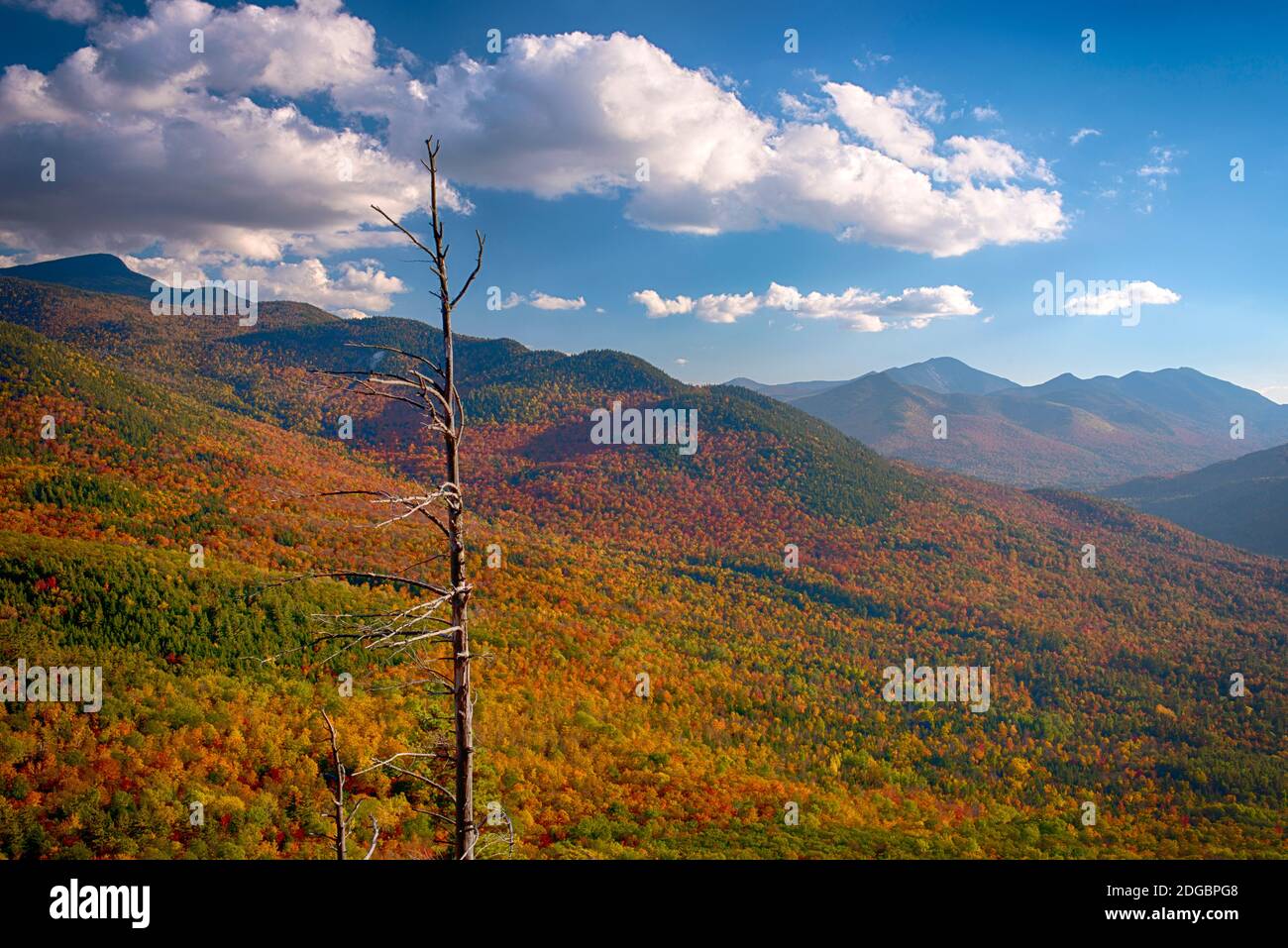 Los árboles de otoño en la montaña, Baxter Mountain, Adirondack Mountains State Park, Nueva York State, Estados Unidos Foto de stock