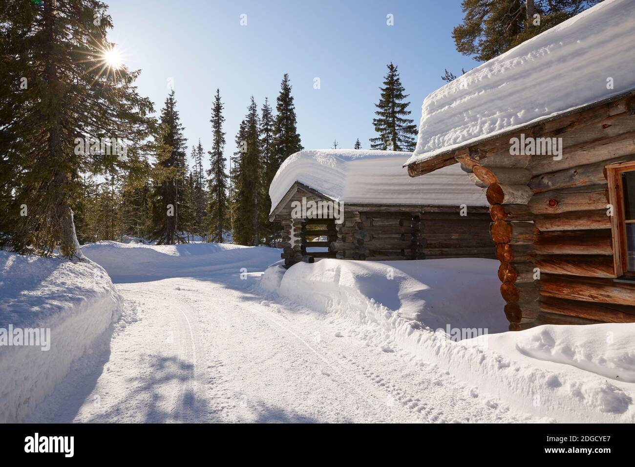 Cabaña de troncos nevados al sol en Laponia Foto de stock