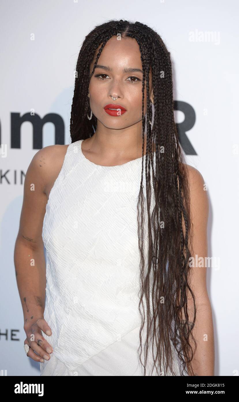 Zoe Kravitz asistió a la 22ª Gala Cinema Against AIDS de AmfAR, Hotel du Cap, Antibes. Parte del 68º Festival de Cannes. Foto de stock