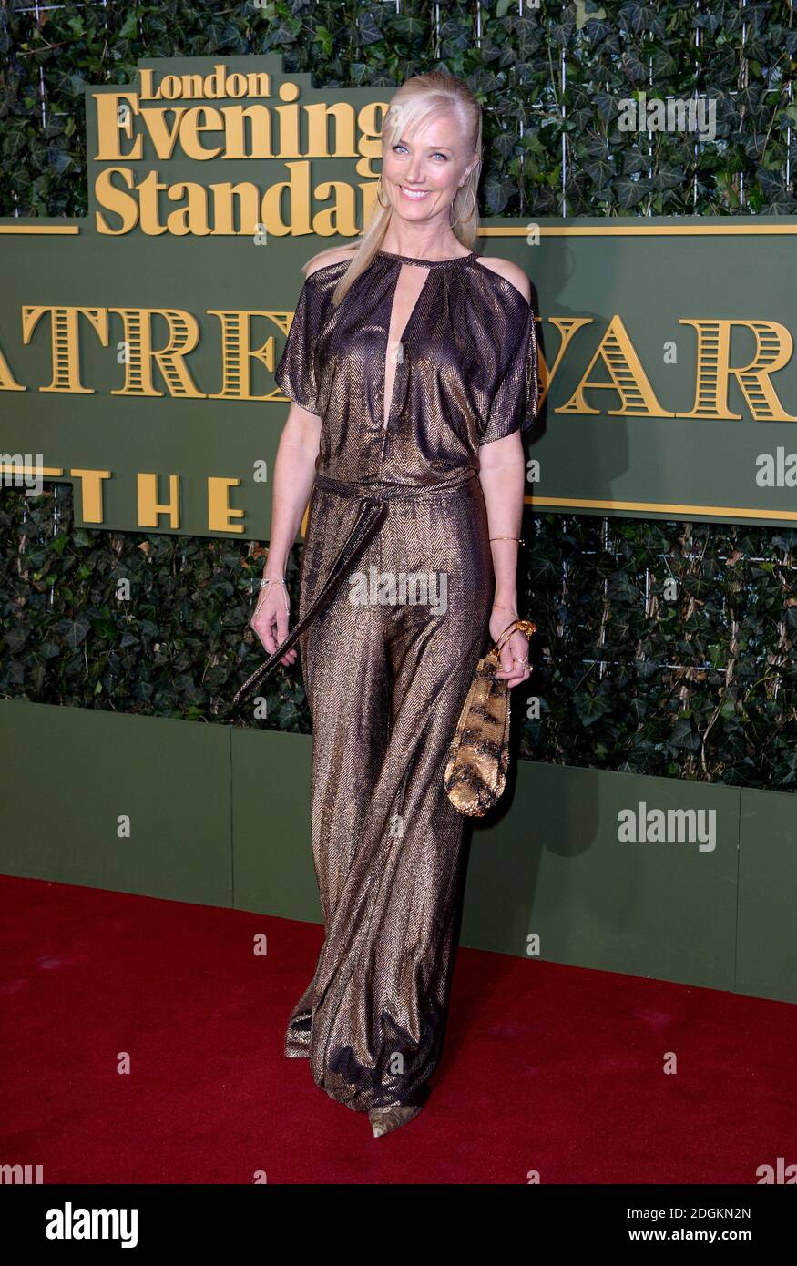 Joely Richardson asiste a los premios London Evening Standard Theatre Awards celebrados en el Old Vic Theatre, Londres el 22 de noviembre de 2015. Foto de stock