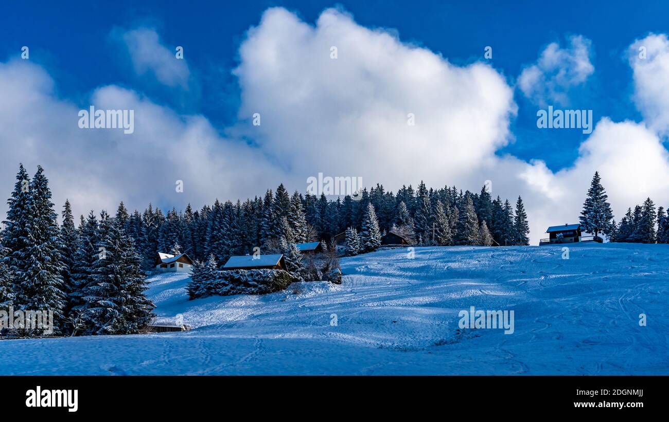 Ferienhaus im Schnee am Waldrand. Verschneiter Tannenwald mit Aussicht. Invierno en Bergen. alpino Foto de stock