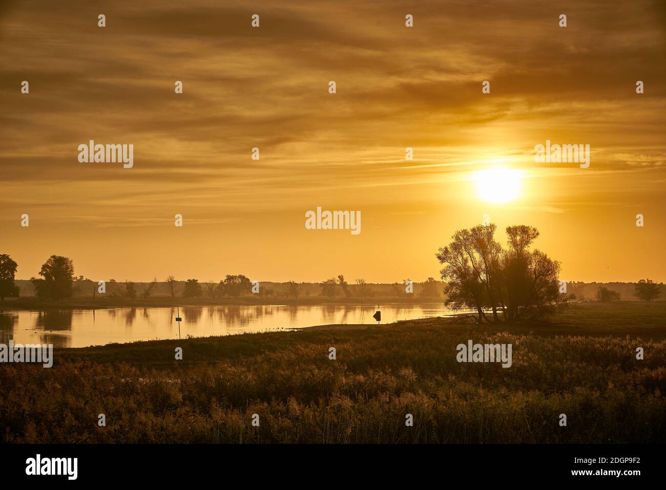 Sonnenaufgang an der Oder mit Blick Richtung Polen. Foto de stock