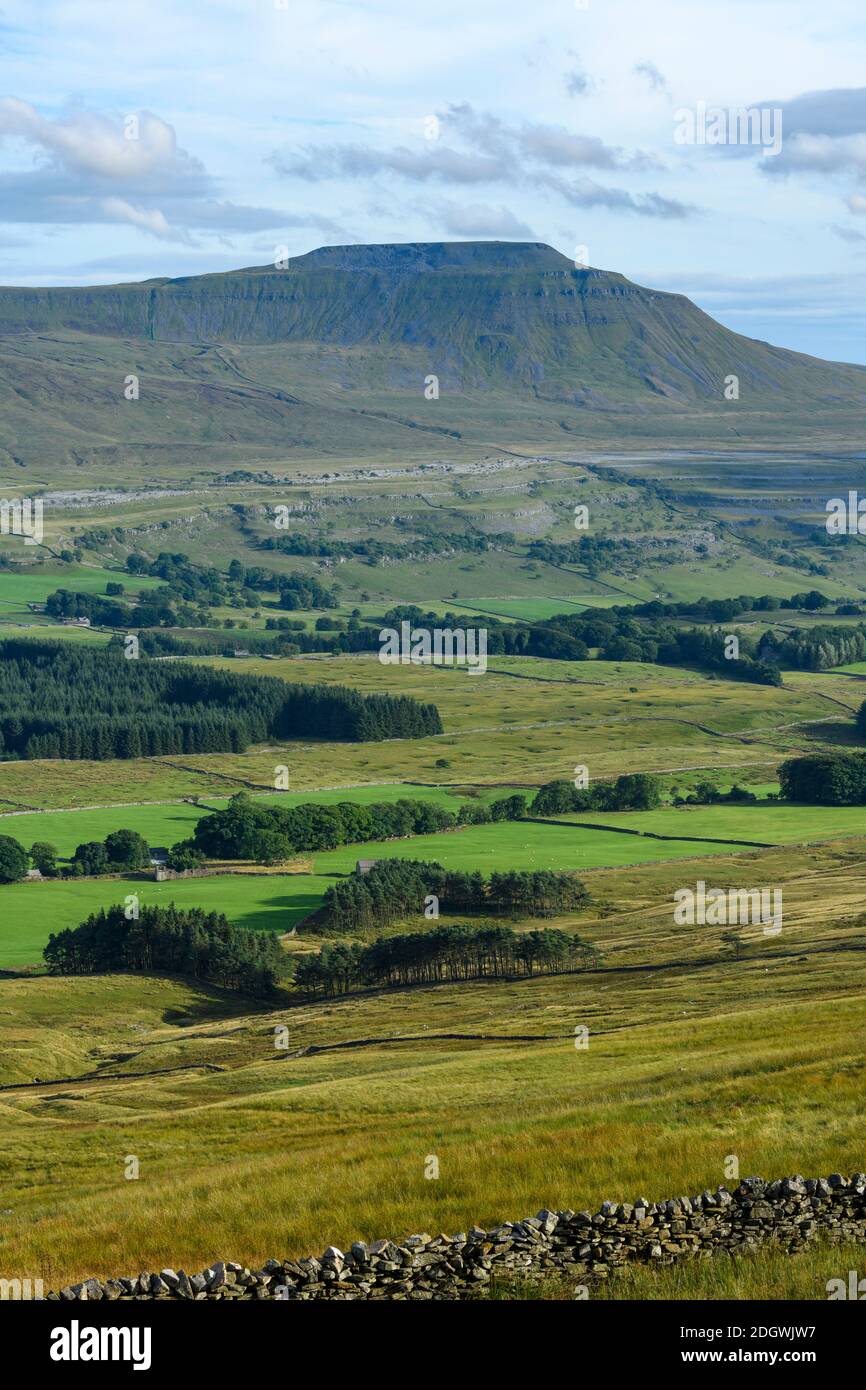 Ingleborest (alta montaña o colina), rango de colinas altas o fells y el valle iluminado por el sol en la pintoresca campiña de Dales - Ribblesdale, Yorkshire, Inglaterra, Reino Unido Foto de stock