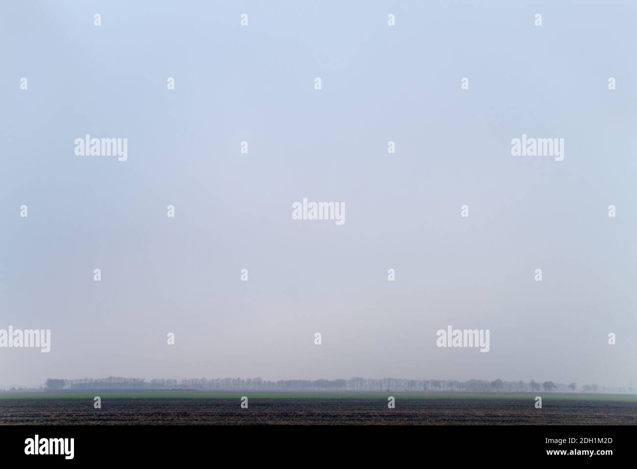 Vista del paisaje con horizonte muy bajo en un día frío y avasoso, mucho espacio de copia en el cielo Foto de stock