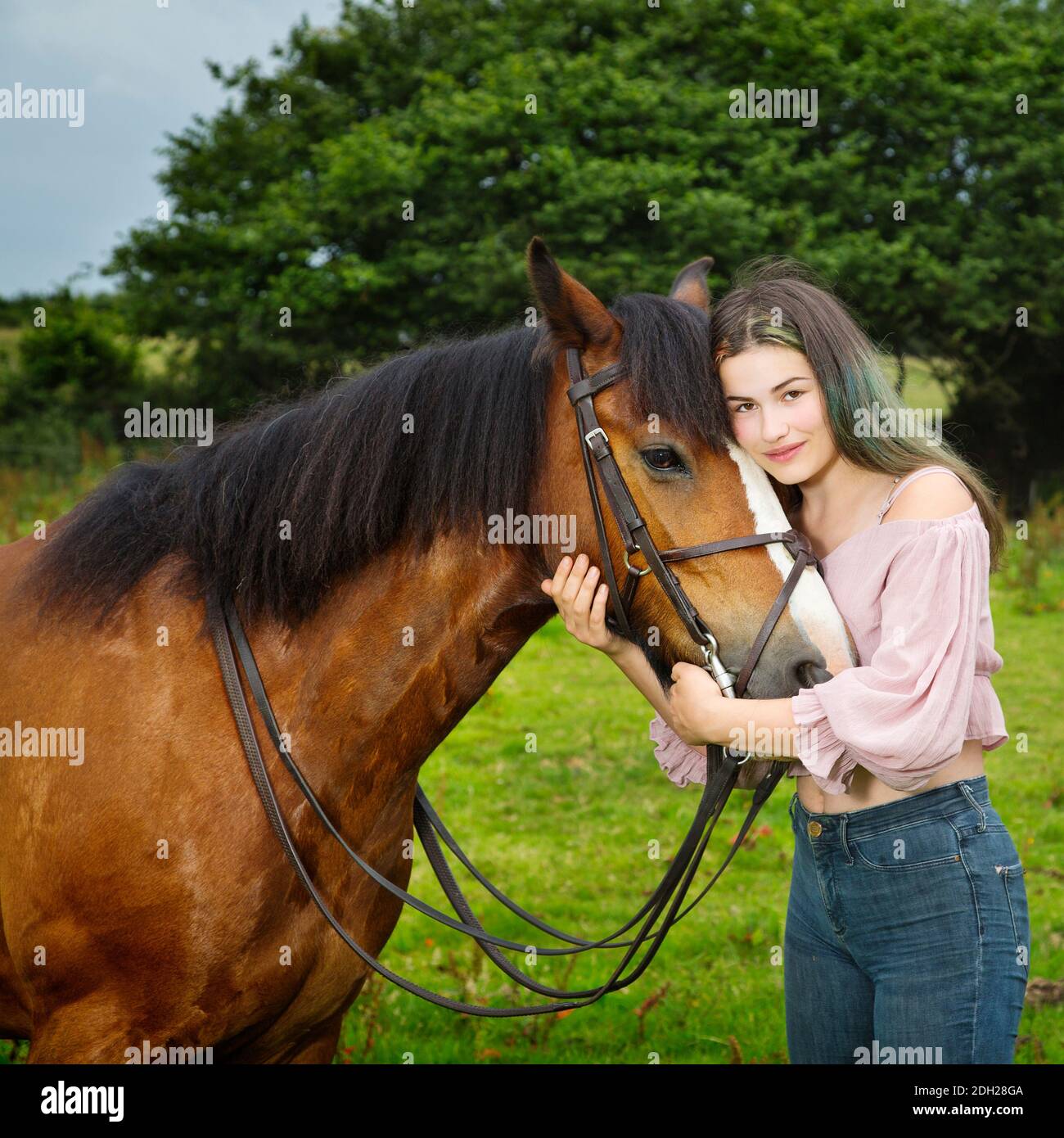 Un hermoso modelo femenino joven con un caballo Foto de stock