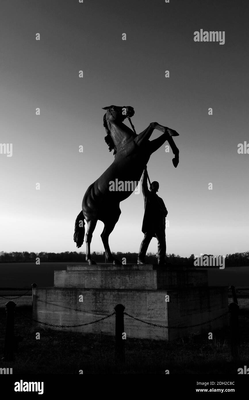 Amanecer sobre la estatua del Newmarket Stallion de Marcia Astor y Allan Sly, en el hipódromo de Newmarket, Suffolk, Inglaterra, Reino Unido Foto de stock