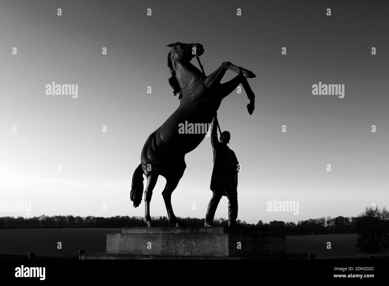 Amanecer sobre la estatua del Newmarket Stallion de Marcia Astor y Allan Sly, en el hipódromo de Newmarket, Suffolk, Inglaterra, Reino Unido Foto de stock