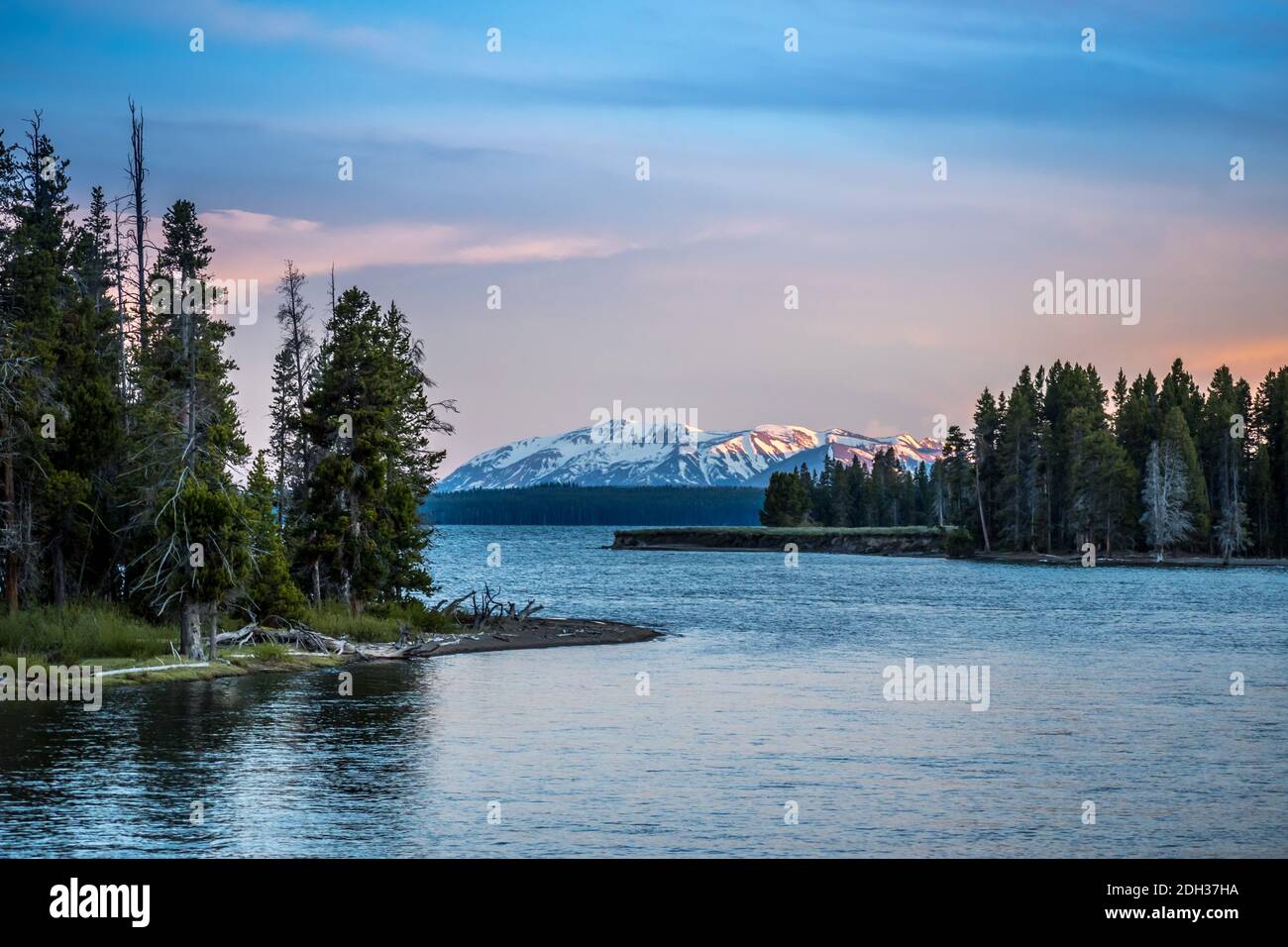 Con vistas al paisaje del Parque Nacional Yellowstone, Wyoming Foto de stock