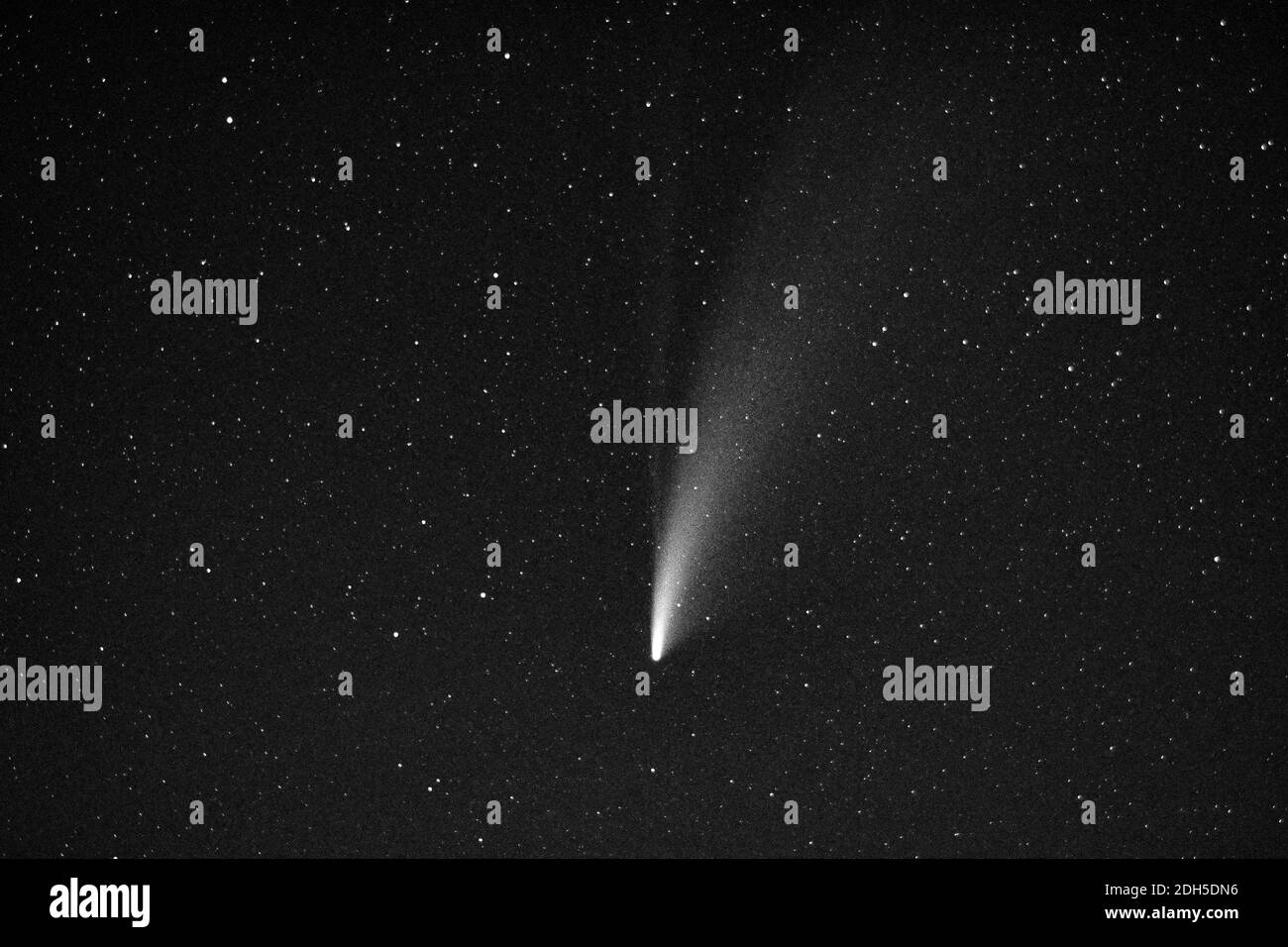 Vista del cometa neowise en el cielo nocturno Foto de stock