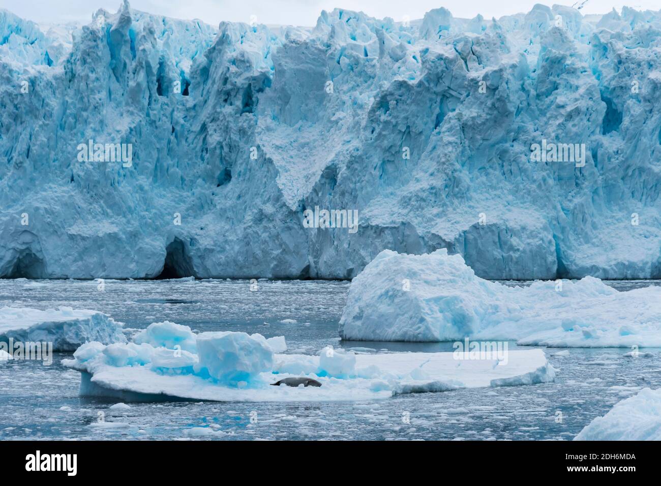 Glaciar Noreste, Antártida Foto de stock