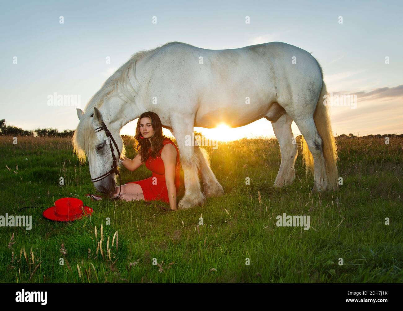 Una hermosa adolescente con un vestido rojo con un caballo blanco Foto de stock