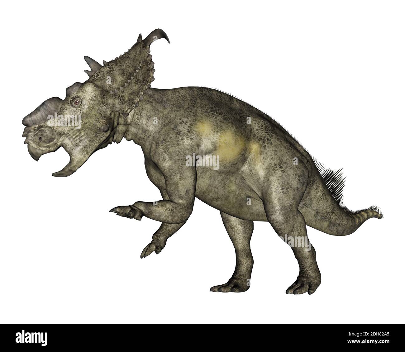 Pachyrhinosaurus dinosaurio rugido - 3D render Foto de stock