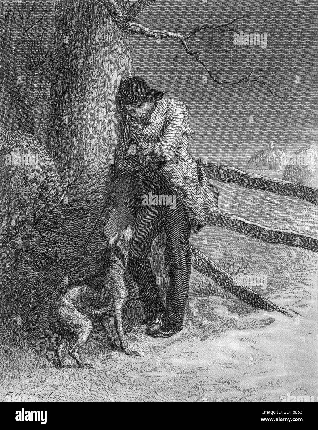 Perro fiel Imágenes de stock en blanco y negro - Alamy