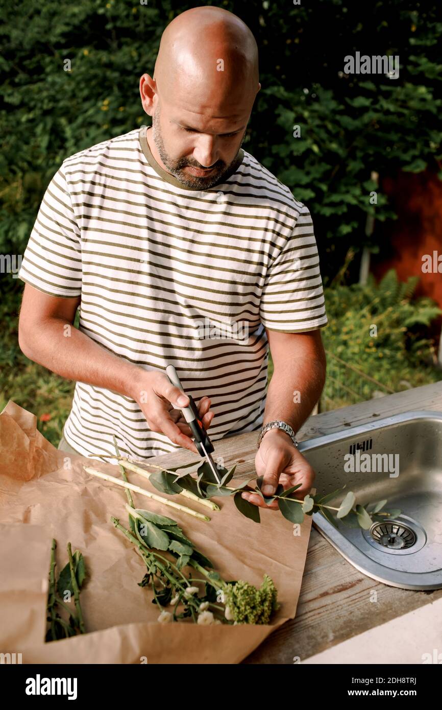 El hombre maduro cortando tallo de la planta mientras está parado por el fregadero adentro patio Foto de stock