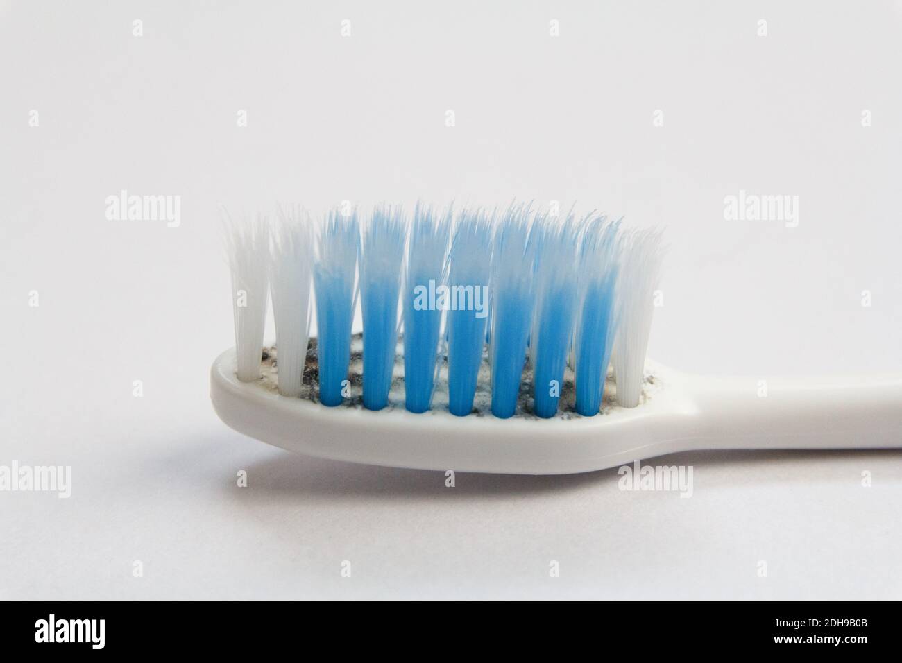 Primer plano viejo cepillo de dientes y hongos aislados sobre fondo blanco  Fotografía de stock - Alamy
