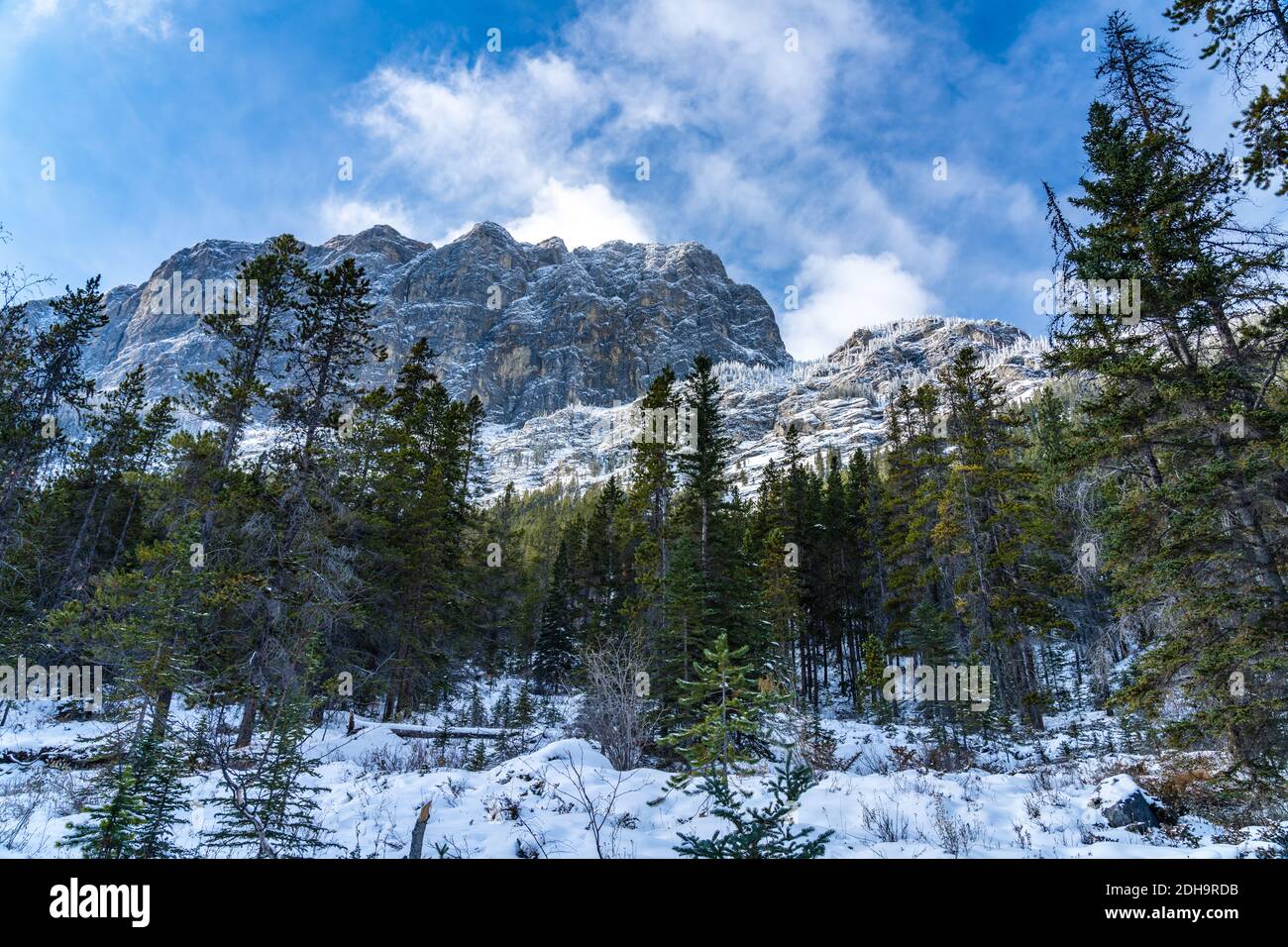 Paisaje forestal a principios de invierno, pinos verdes en el primer plano, montañas cubiertas de nieve con árboles congelados en el fondo. Paisaje en Grassi Lagos T Foto de stock