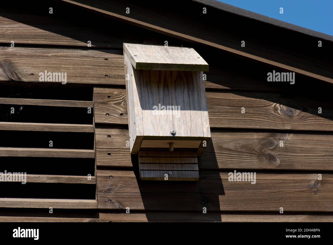 Una caja de murciélagos de Chavenage artificial en el lado del edificio agrícola de madera diseñado para fomentar el roosting murciélagos, Berkshire, junio Foto de stock