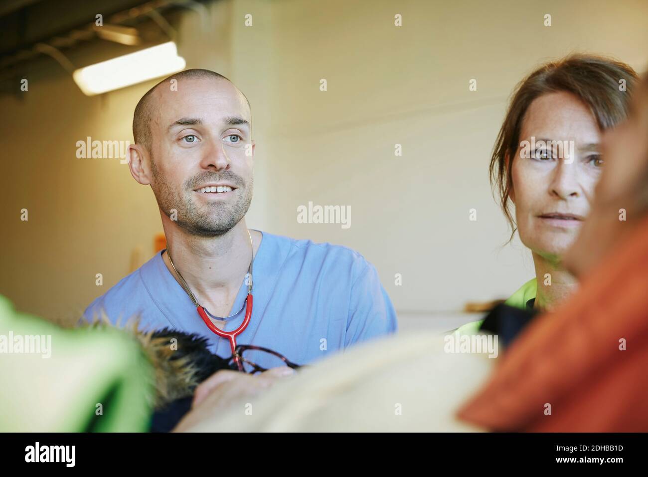 Médico masculino y paramédico femenino mirando al paciente en el hospital Foto de stock