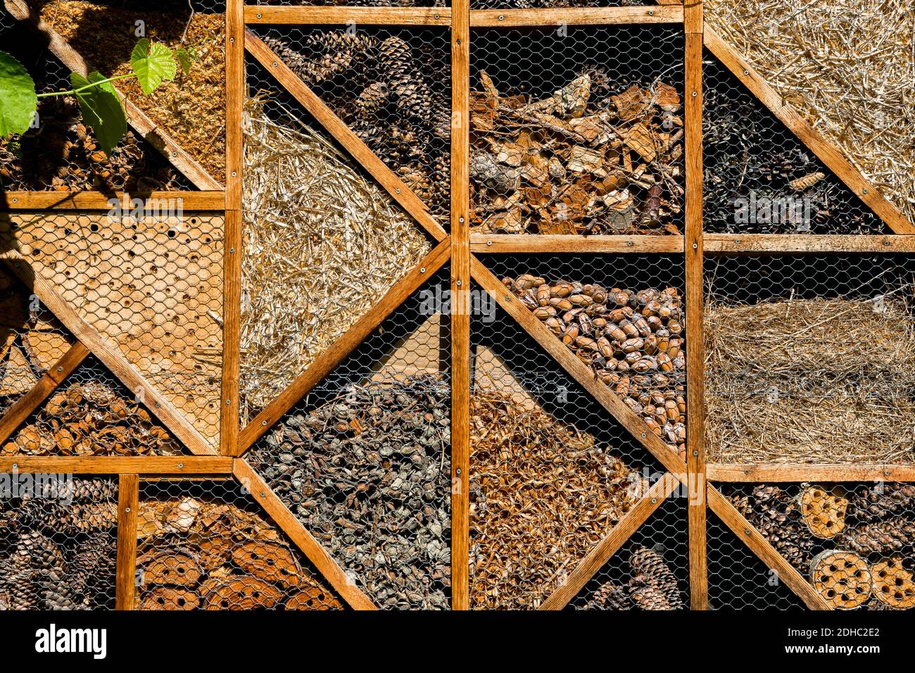 Insecto Hotel con compartimentos como refugio para los animales para mejorar Biodiversidad Foto de stock