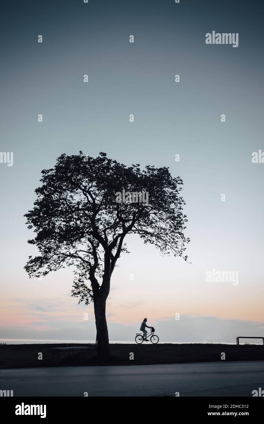 Silueta de personas y un solo árbol en el paseo contra el cielo durante puesta de sol Foto de stock
