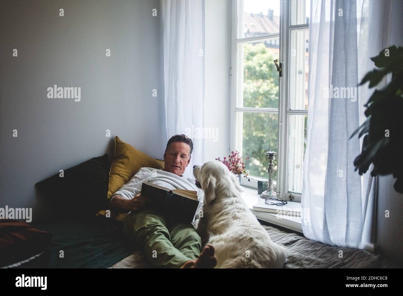 Hombre mayor acostado con perro mientras lee el libro en la cama por ventana en casa Foto de stock